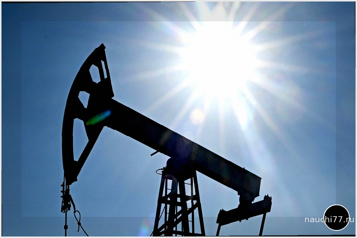 Европа почти полностью зависит от импортной нефти