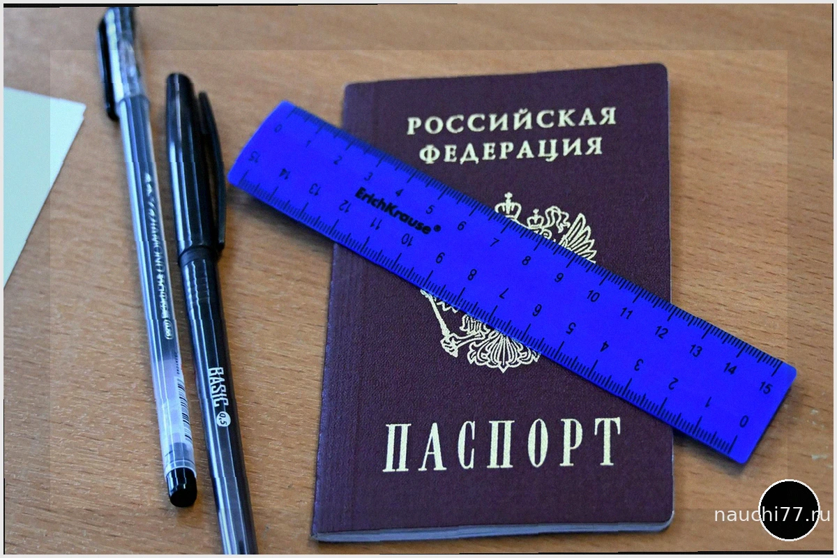 Создатель ЕГЭ выступил против отмены экзамена