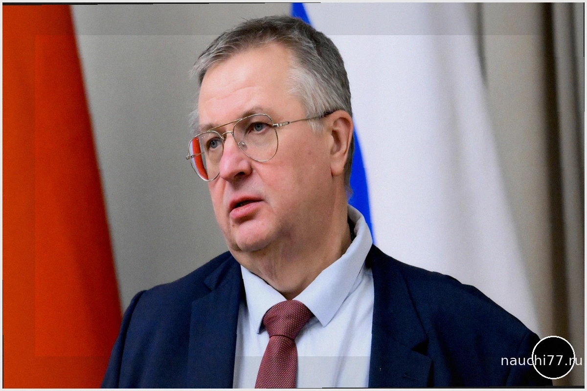 Россия и Афганистан: торговля, энергетика, коридор "Север-Юг"