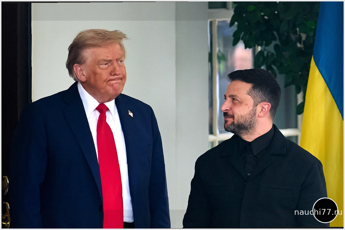 Дональд Трамп: Ярость из-за критики Владимира Зеленского