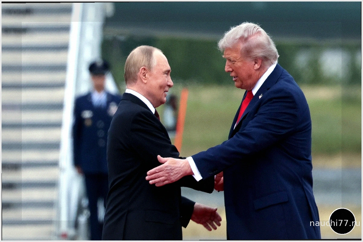 Трамп о переговорах с Путиным и Зеленским: оценка, препятствия и надежды