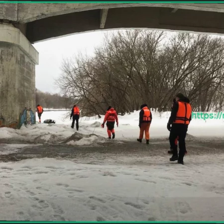 Операция по поиску троих пропавших детей в Звенигороде: спасатели обследовали 20 км реки