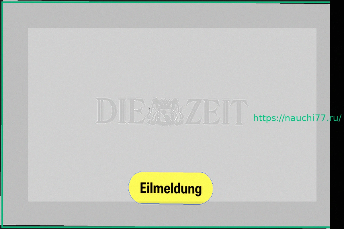 Preview Прибыль Volkswagen в 2025 году сократится почти вдвое