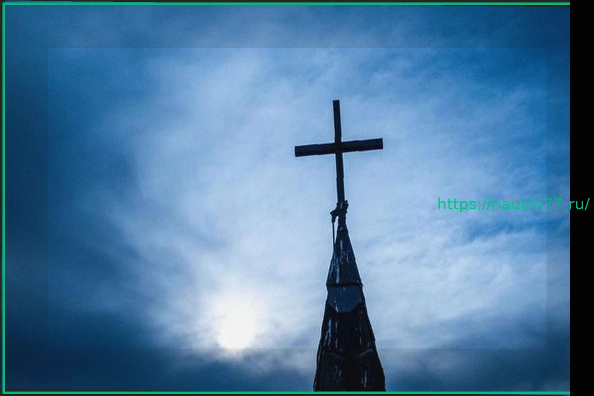 Preview Католическая Церковь Выделила 93 Миллиона Жертвам Насилия