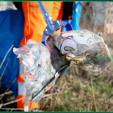 Весенняя уборка в Саксонии: Города объединяются против мусора