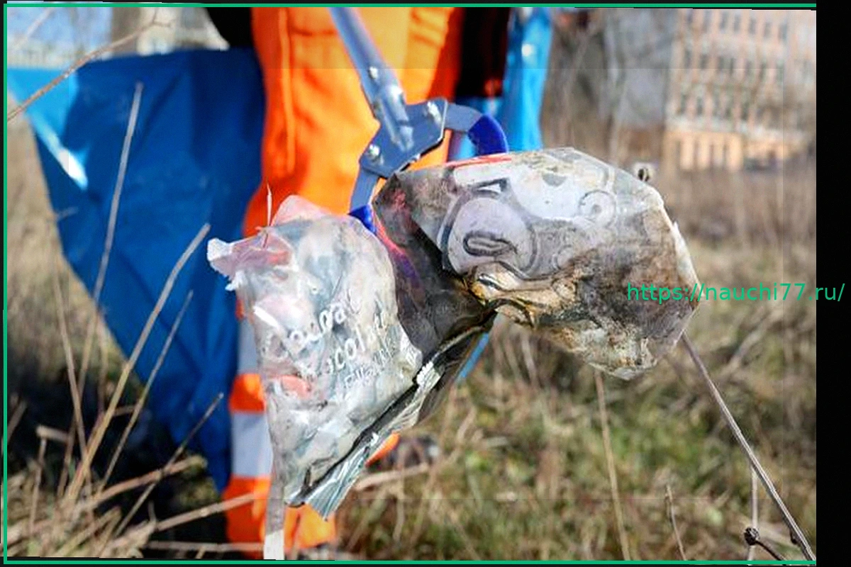 Preview Весенняя уборка в Саксонии: Города объединяются против мусора