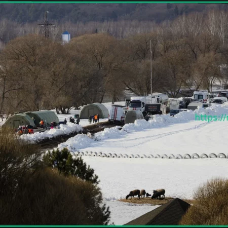 Поиск третьего ребенка в Подмосковье: Зона расширена после обнаружения тел