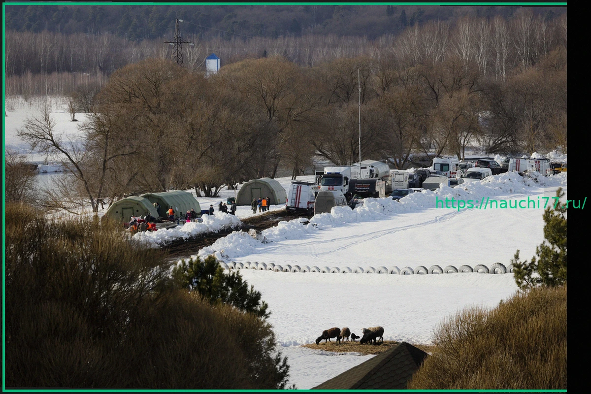 Preview Поиск третьего ребенка в Подмосковье: Зона расширена после обнаружения тел