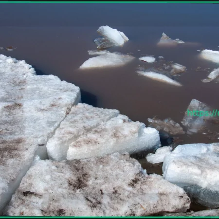 Волонтеры бросили клич о помощи для поиска троих детей в Подмосковье