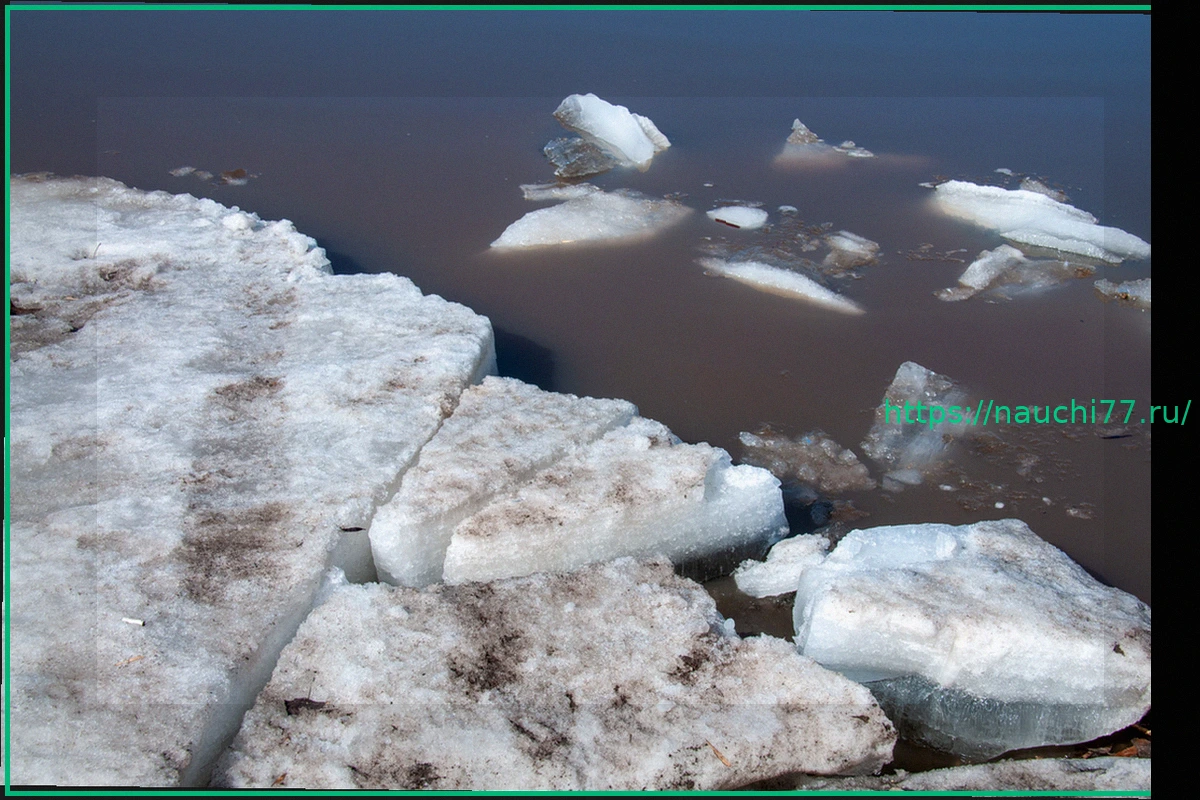 Preview Волонтеры бросили клич о помощи для поиска троих детей в Подмосковье