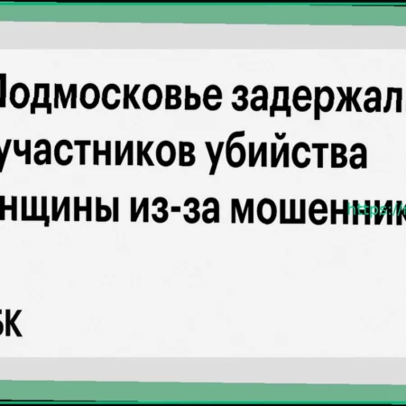 В Московской области задержаны пособники в убийстве женщины, связанном с мошенничеством