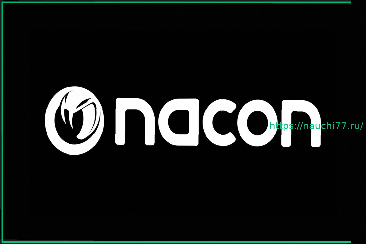 Preview Четыре дочерние компании Nacon подали заявление о судебной реорганизации