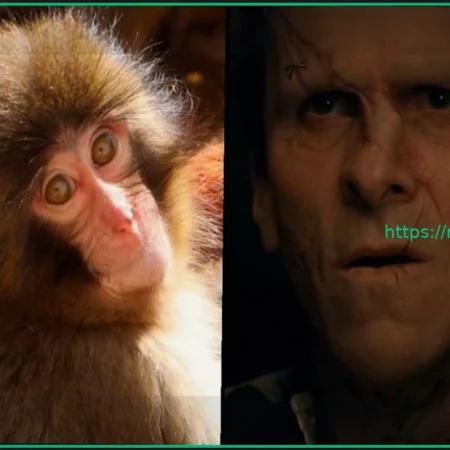 Кристиан Бейл сравнивает вирусную обезьянку Панч с Монстром Франкенштейна