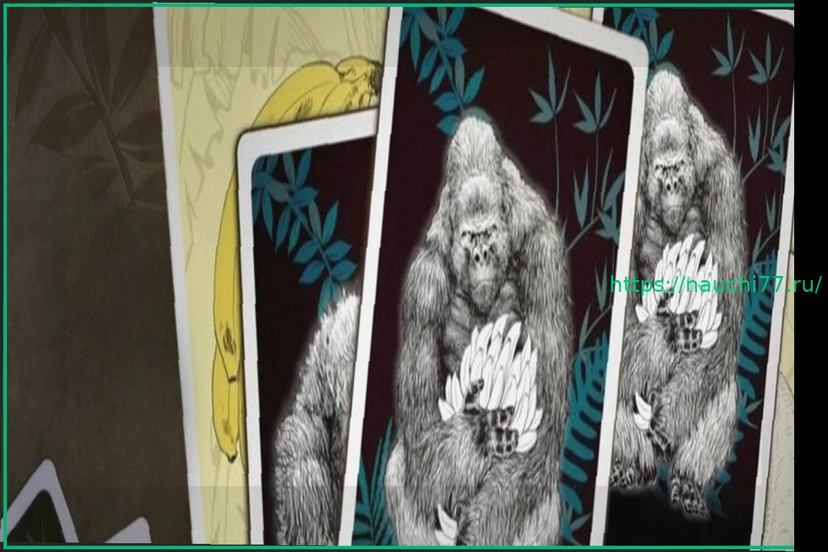 Preview Goritaire: Arc System Works меняет файтинги на карточную игру про выживание с обезьянами