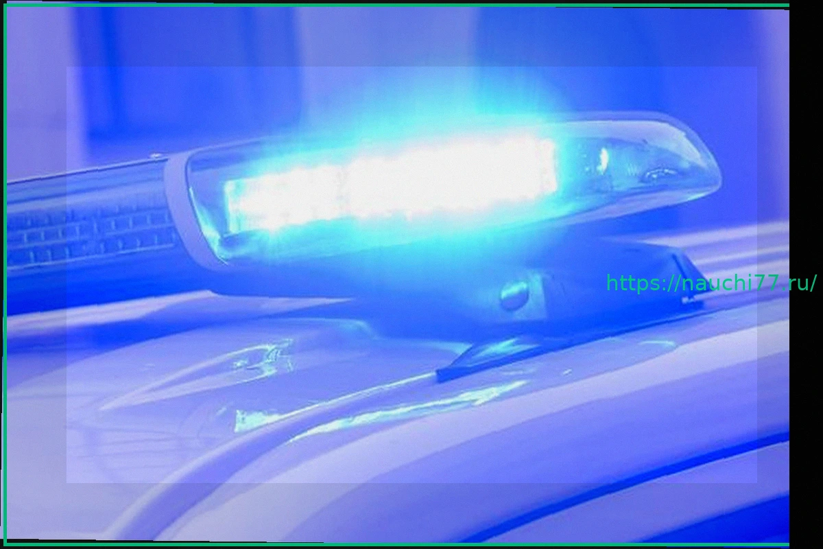 Preview ДТП на A1: Столкновение микроавтобуса и грузовика