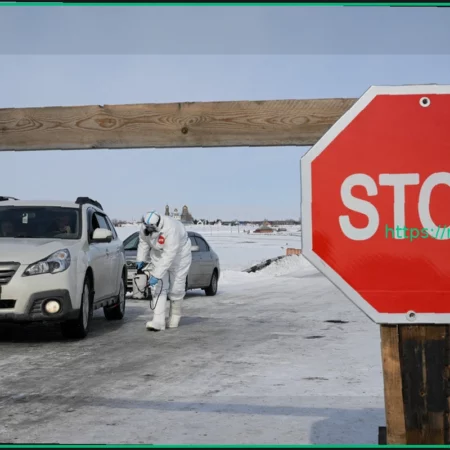 Карантин по бешенству в Гжатске: Новосибирская область вводит ЧС из-за опасных болезней животных