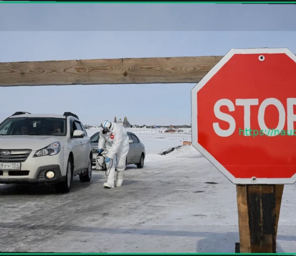Карантин по бешенству в Гжатске: Новосибирская область вводит ЧС из-за опасных болезней животных