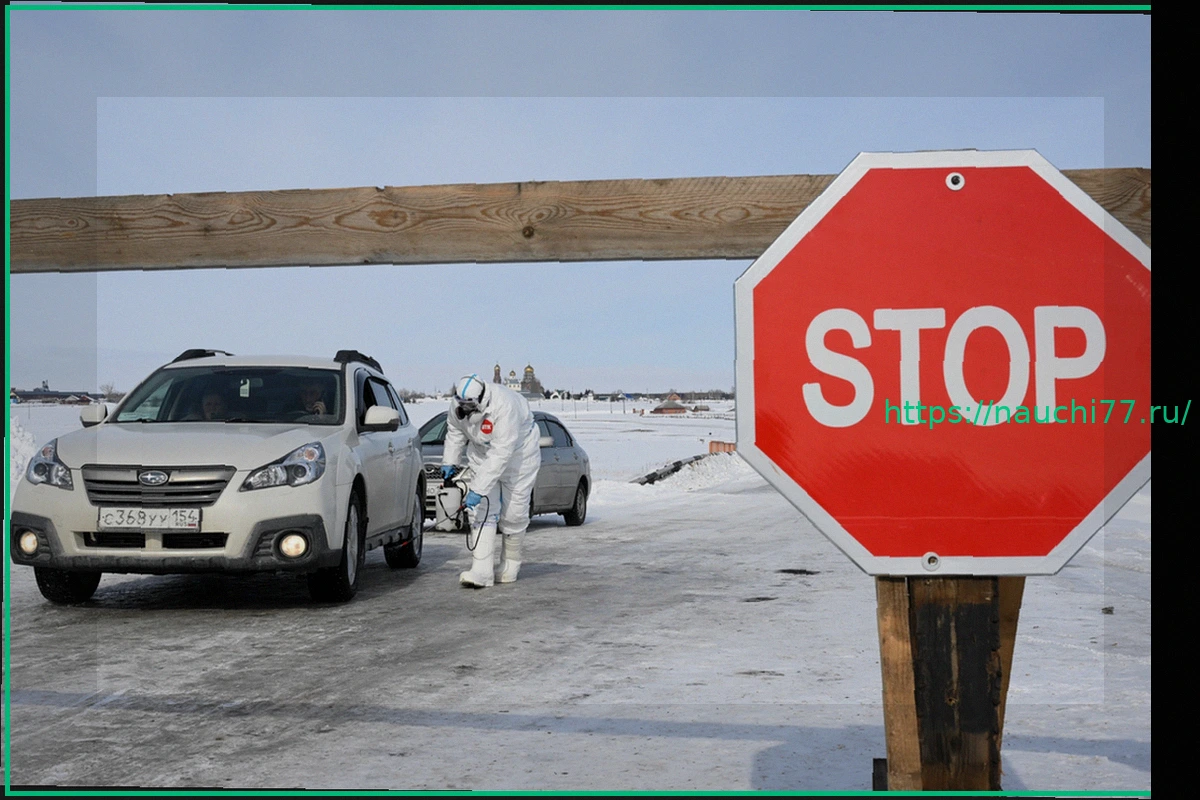 Preview Карантин по бешенству в Гжатске: Новосибирская область вводит ЧС из-за опасных болезней животных