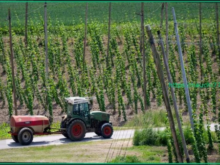 Трагедия в Нижней Баварии: Мужчина погиб на хмелевом поле, попав в машину