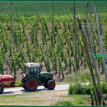 Трагедия в Нижней Баварии: Мужчина погиб на хмелевом поле, попав в машину