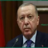 Эрдоган: Ближневосточный конфликт — это «война Нетаньяху», необходимы переговоры США и Ирана