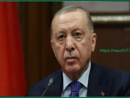 Эрдоган: Ближневосточный конфликт — это «война Нетаньяху», необходимы переговоры США и Ирана