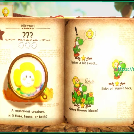 Yoshi and the Mysterious Book: Дата Выхода и Стоимость