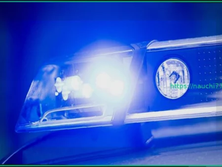 Спасение вертолетом: 12-летний подросток пронзен веткой при падении с дерева