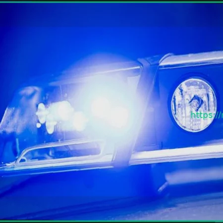 Спасение вертолетом: 12-летний подросток пронзен веткой при падении с дерева