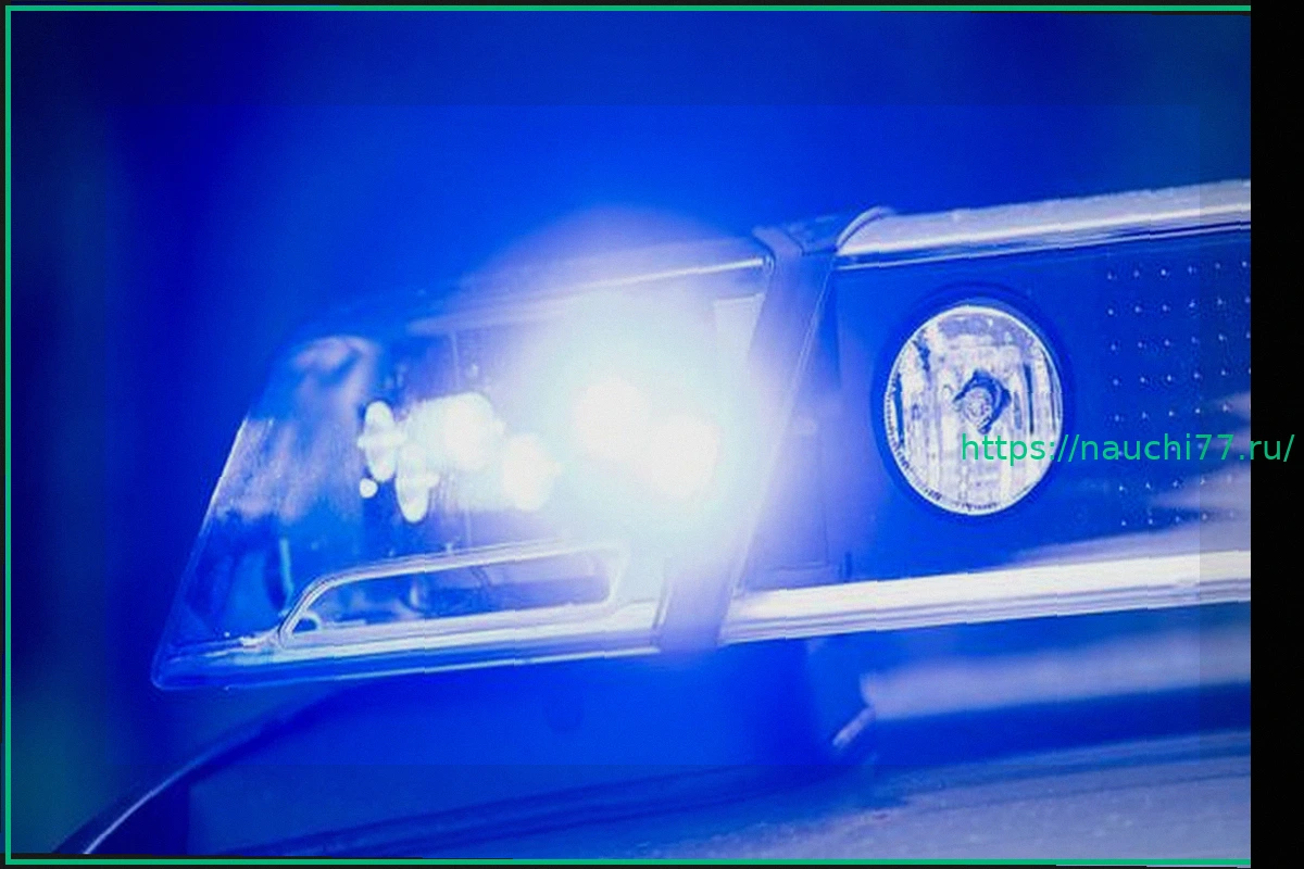 Preview Спасение вертолетом: 12-летний подросток пронзен веткой при падении с дерева