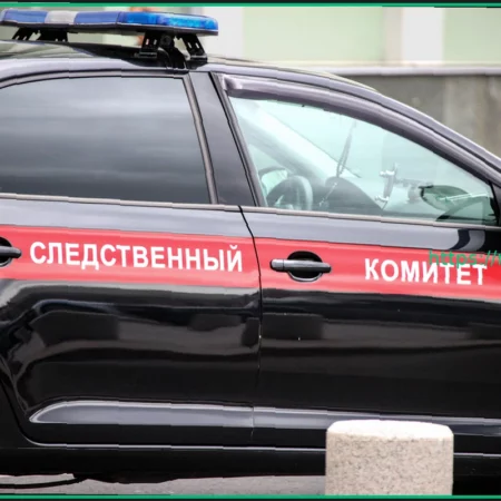 Российский пенсионер вызвал товарищу скорую и получил десять лет колонии