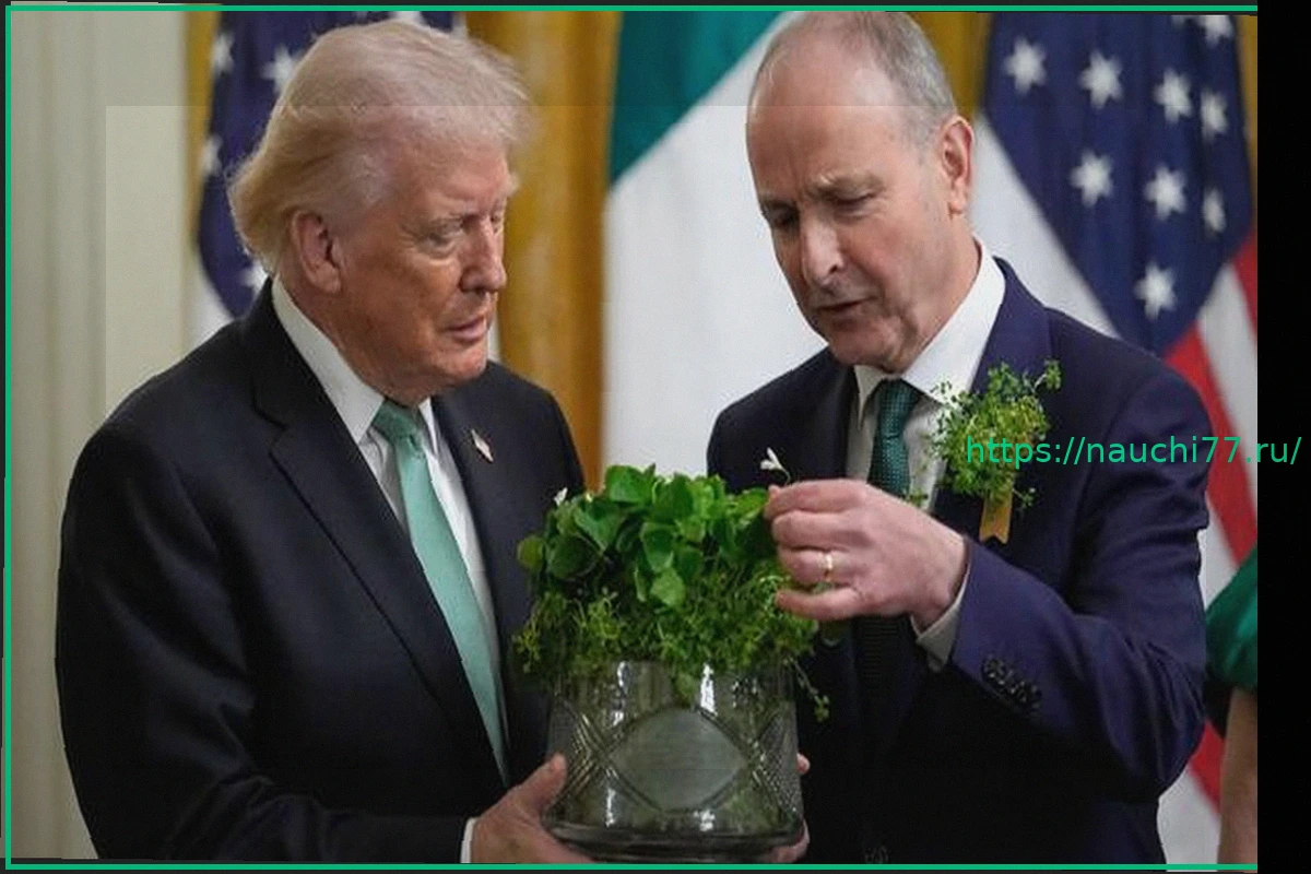 Preview Фотография: Лучшие Снимки Дня