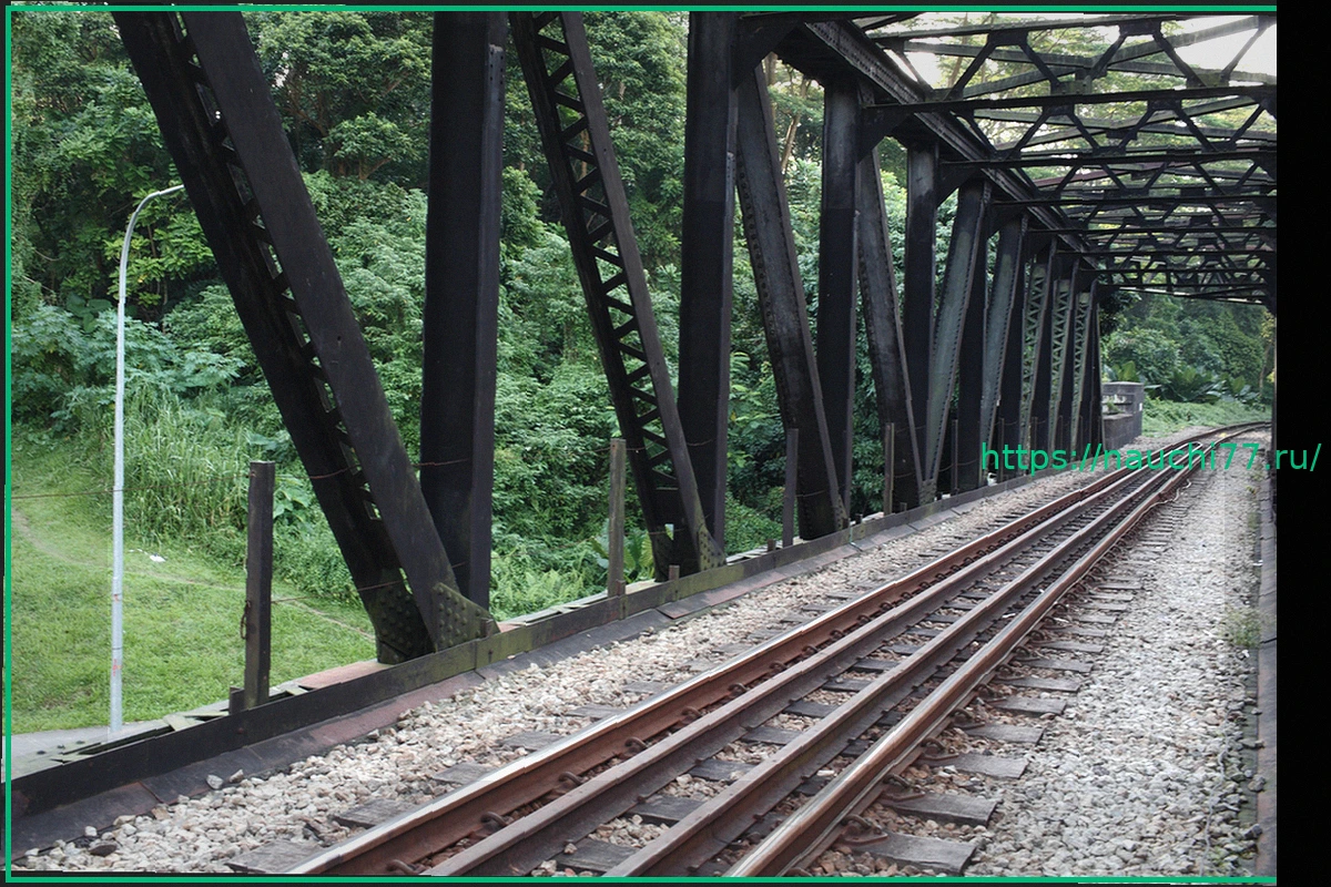 Preview Подвиг жителей малайзийской деревни: остановлен поезд с отказавшими тормозами, спасены учителя