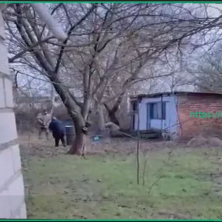 Инцидент в Украине: Сотрудники ТЦК ударили пенсионерку и забрали гуся