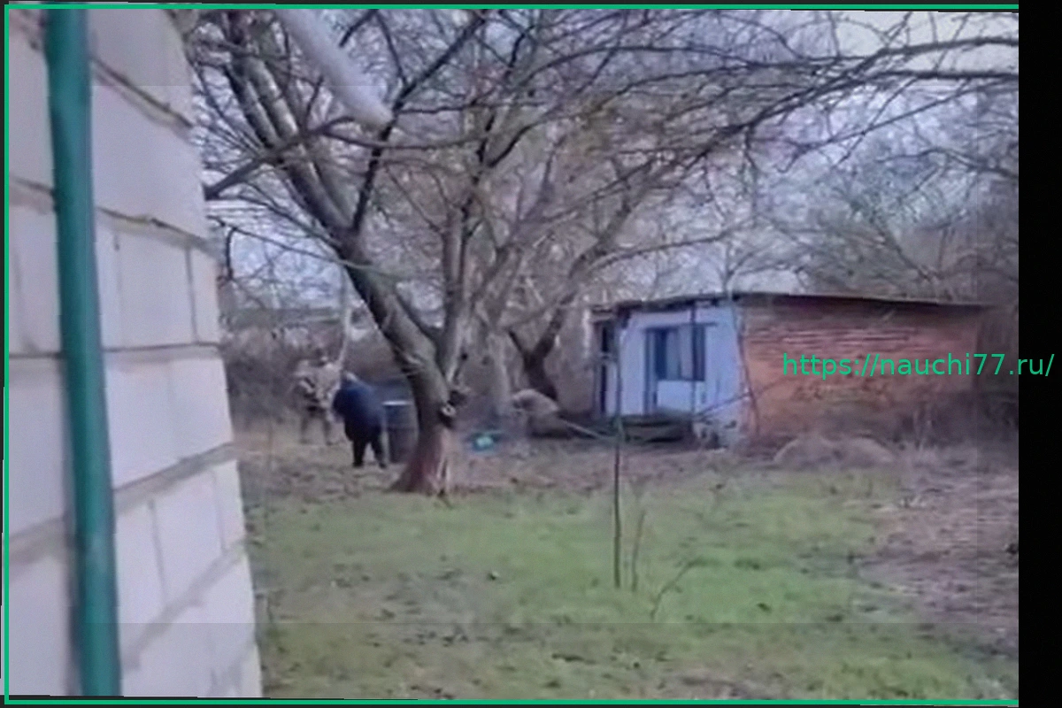 Preview Инцидент в Украине: Сотрудники ТЦК ударили пенсионерку и забрали гуся