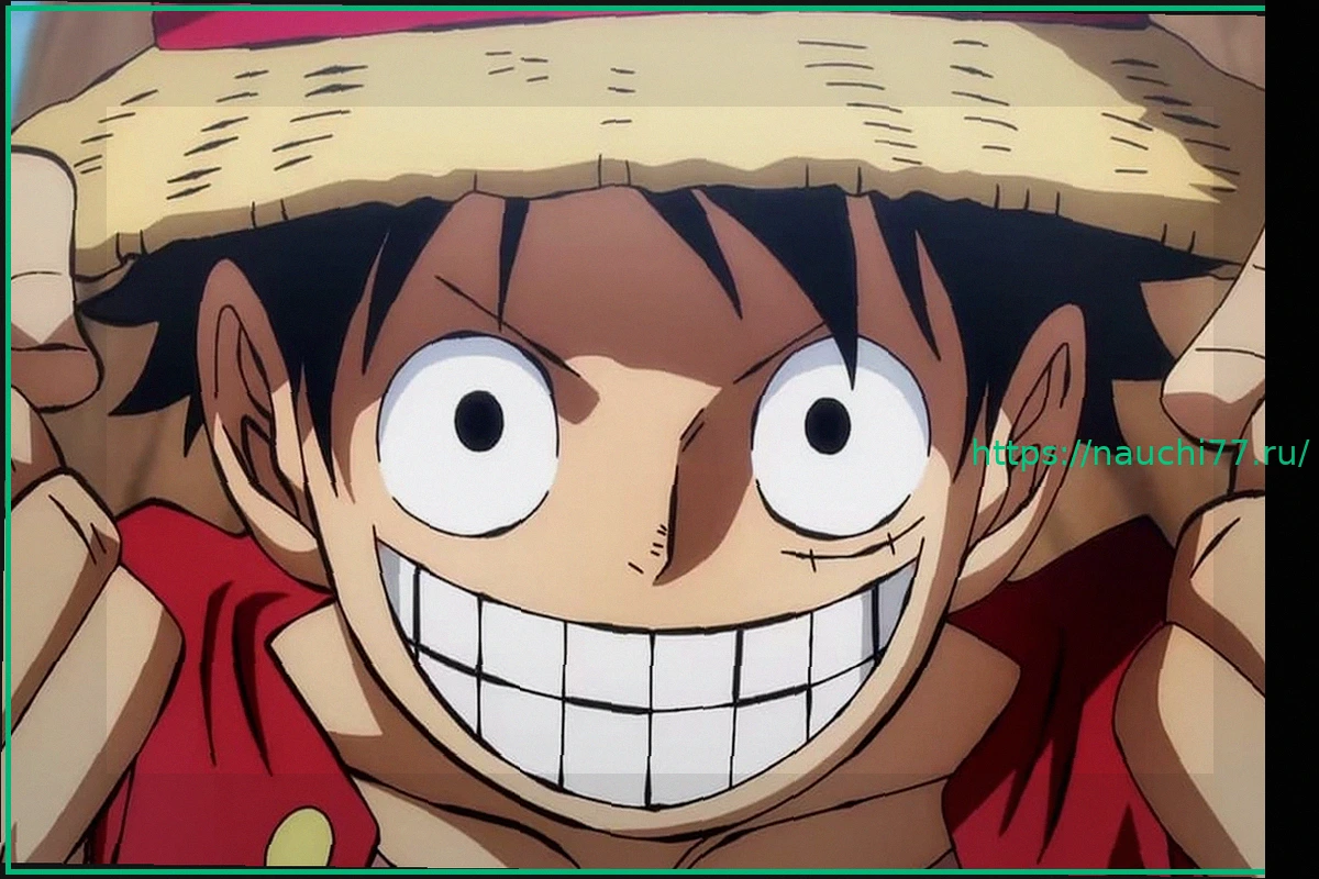Preview Фанаты One Piece серьезно подошли к поиску сокровищ с планом в $96 000 в день