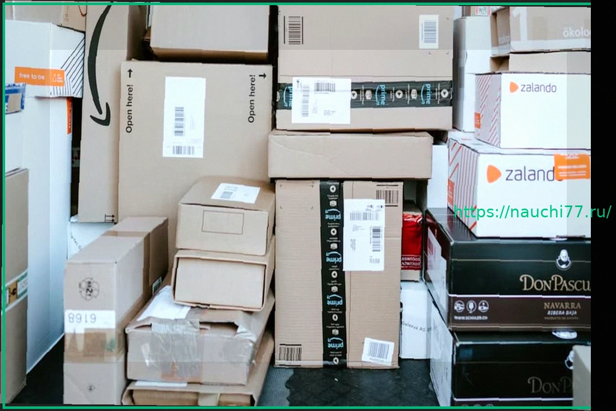 Preview Amazon извинилась за отправку 100+ посылок 80-летней женщине без аккаунта