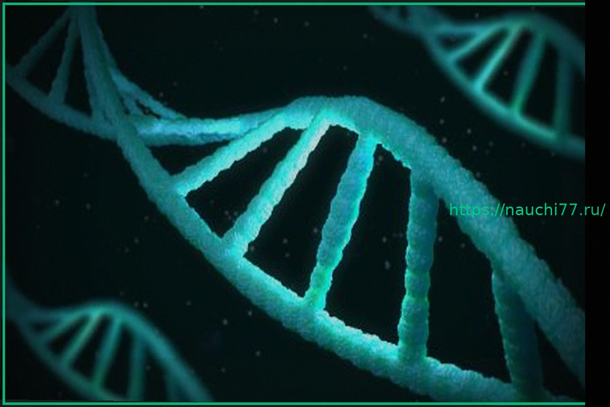 Preview Долгосрочное архивирование: ДНК-хранилища на пути в центры обработки данных