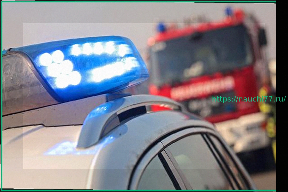 Preview Транспорт: Авария: A9 возле Диттерсдорфа полностью перекрыта