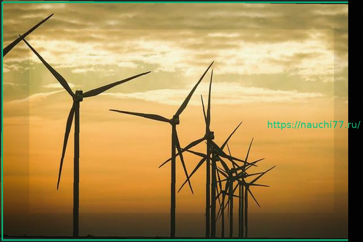 Preview Социальный призыв: Альянс общественных организаций предостерегает от бремени климатических планов