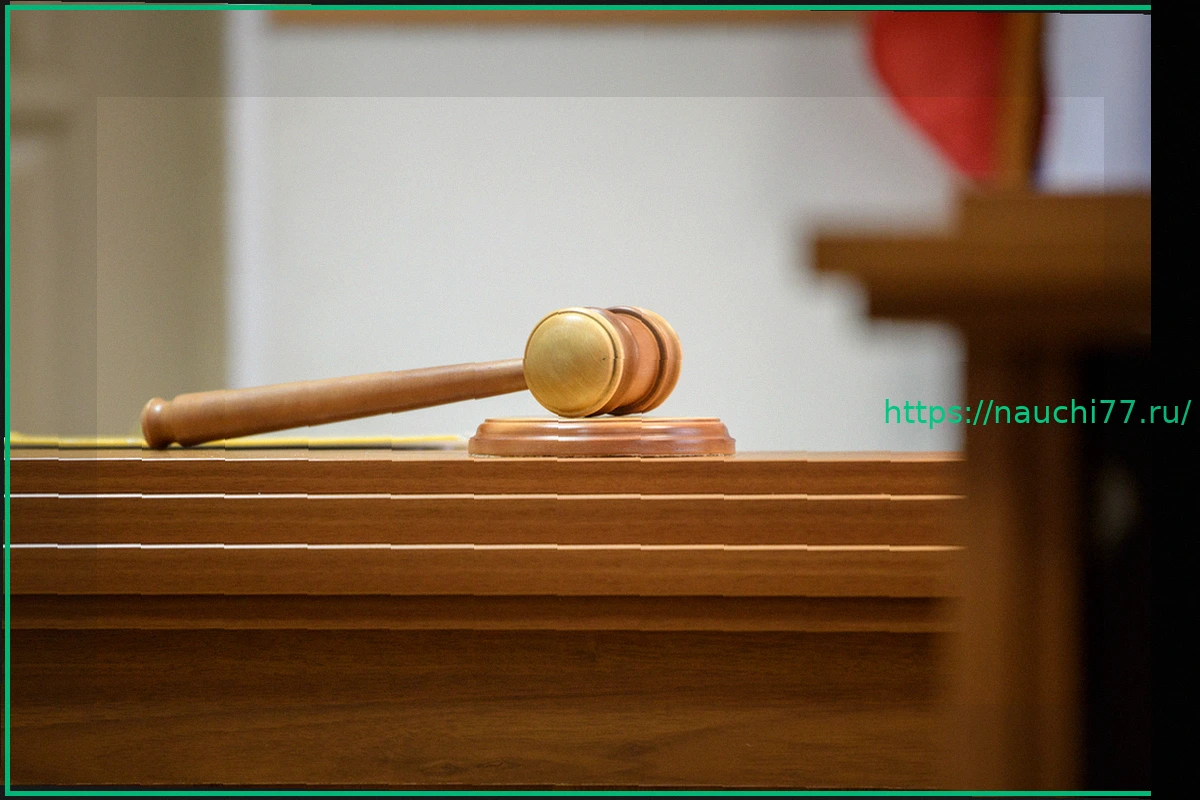 Preview Многодетная семья в России попала под уголовное дело из-за гендер-пати у памятника маршалу Жукову