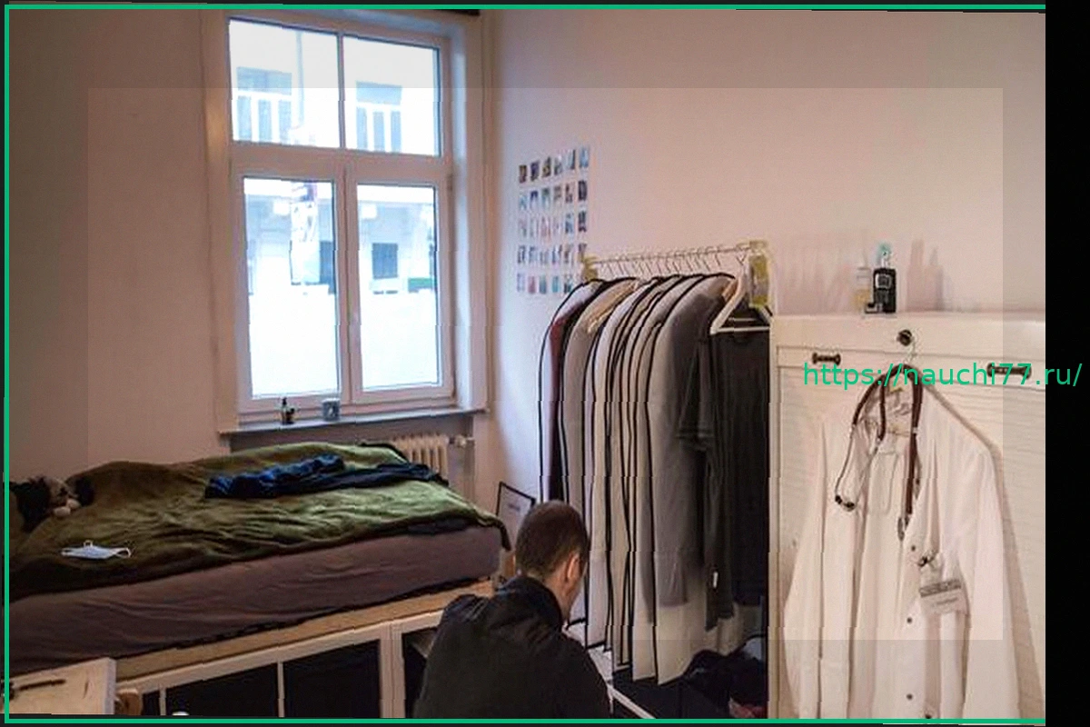 Preview Аренда комнат в студенческих квартирах: цены снова выросли