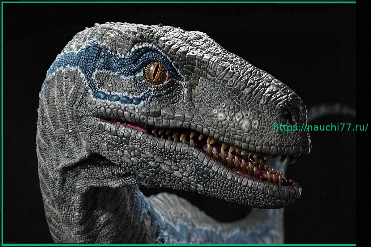 Preview Предварительный заказ на статую велоцираптора Блю из «Мира Юрского периода 2» от Prime 1 Studio уже открыт