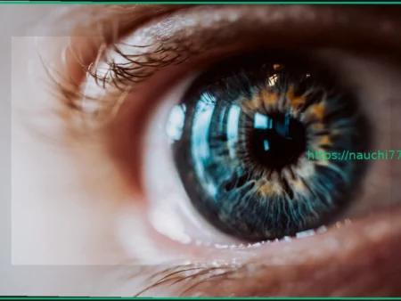 Инновационные импланты из рыбьей чешуи для восстановления роговицы глаза