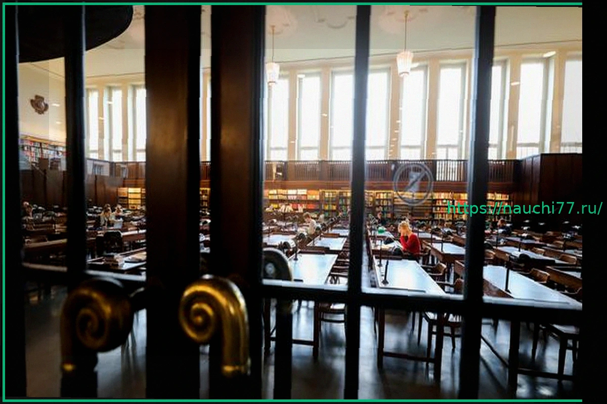 Preview Франк Шольце: «Мы собираем максимально полно, включая книги Ваймера»