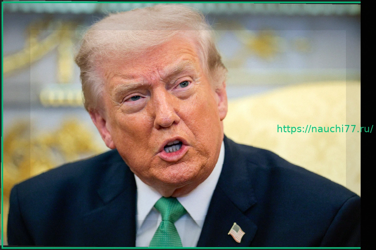 Preview Дональд Трамп Упрекнул НАТО в Отсутствии Поддержки по Ирану После Масштабной Помощи США Украине