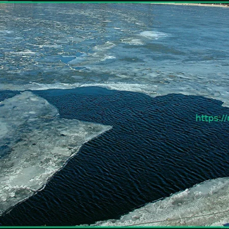 Сложности в поисках пропавших детей в Подмосковье: ледоход и другие преграды