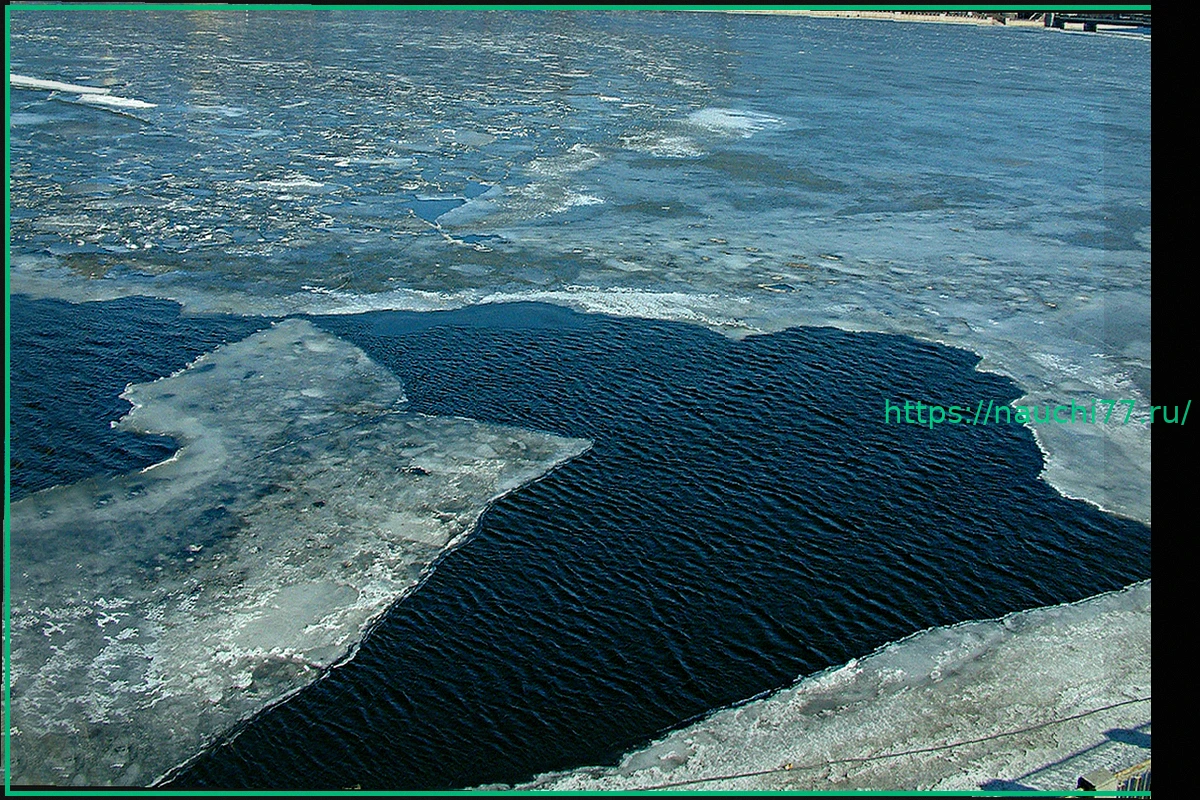 Preview Сложности в поисках пропавших детей в Подмосковье: ледоход и другие преграды