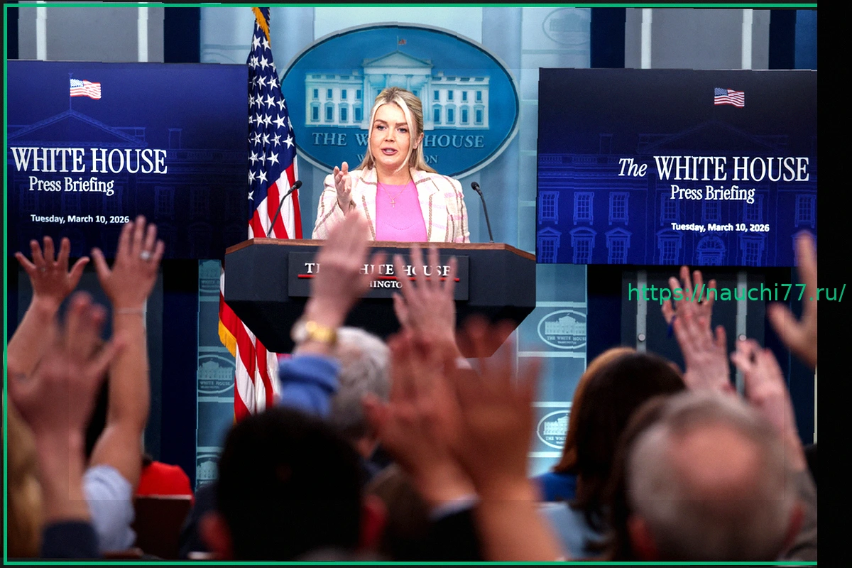 Preview Сроки завершения военной операции США против Ирана: Решение Трампа и Белого дома