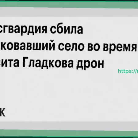 Росгвардия нейтрализовала дрон, атаковавший село в Белгородской области во время визита Гладкова
